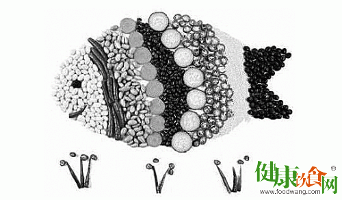 吃素后宜常吃堅果、菌藻類食物